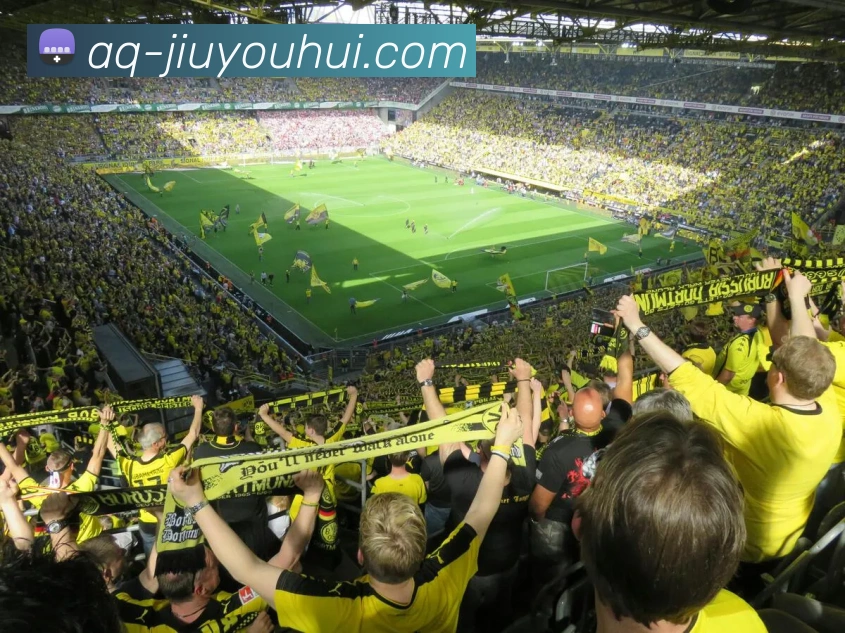 九游会官网APP 高清赛事图